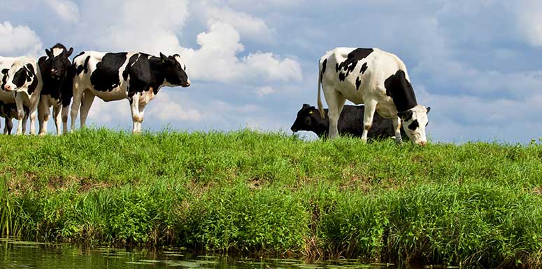 Schade-expertise bij waterschade en brandschade in Overijssel